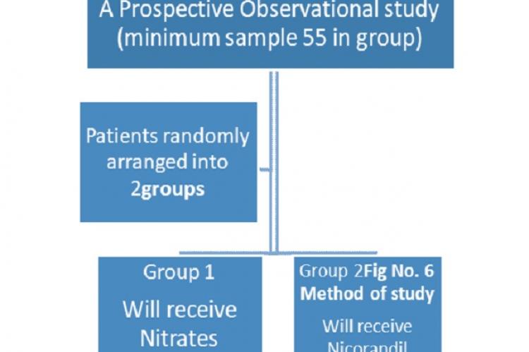 Method of study for the comparison of Nitrates and Nicorandil