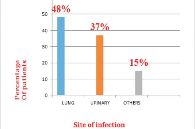 Site Of Infection