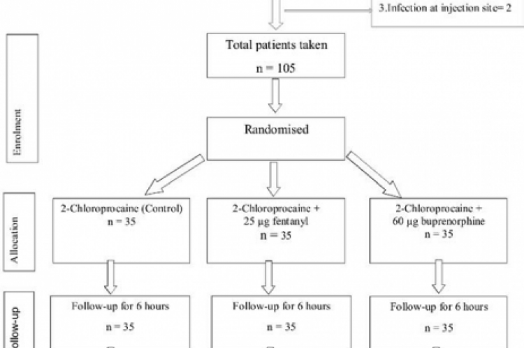 Fig 1: CONSORT FLOW DIAGRAM