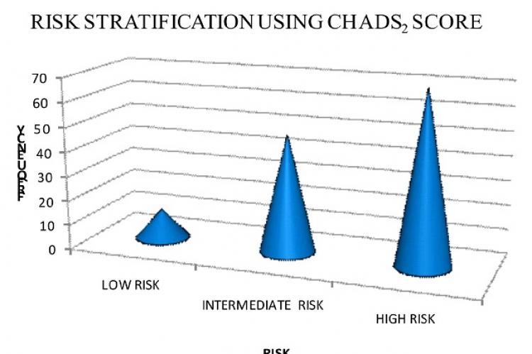 Risk Stratification, An Indispensible Cogitation to Avert Stroke in Patients with Atrial Fibrillation: Evidence from a Prospective Observational Study from India