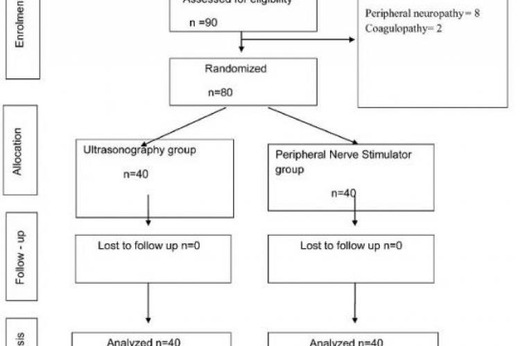 Consort Diagram