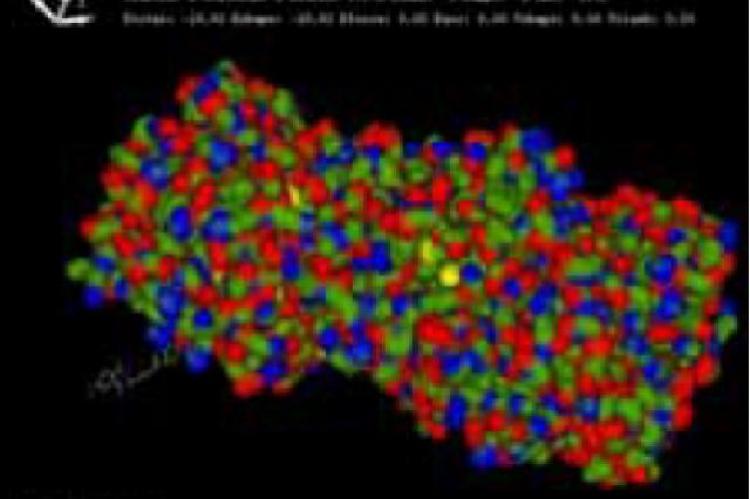 Molecular Docking of Compunds