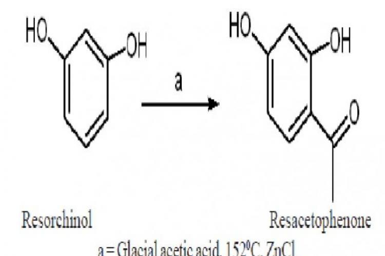 Resorchinol