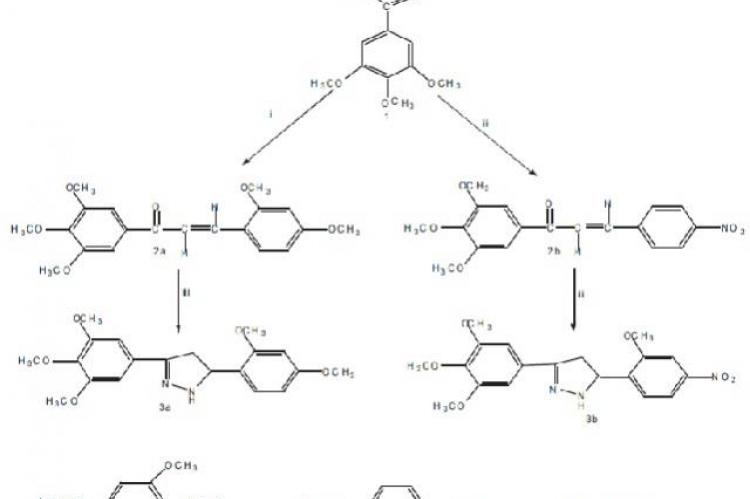 Schemes of Synthesis of Pyrazoles
