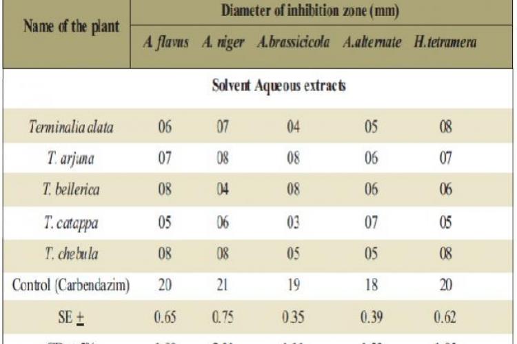 Anti fungal Activity of solvent aqueous fruit extracts of some species of Terminalia