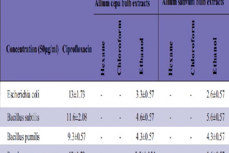 Antibacterial activity of extracts