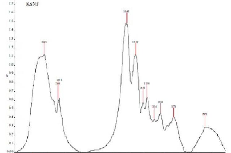 FTIR Spectrum of protein powder exposed to sunlight radiation