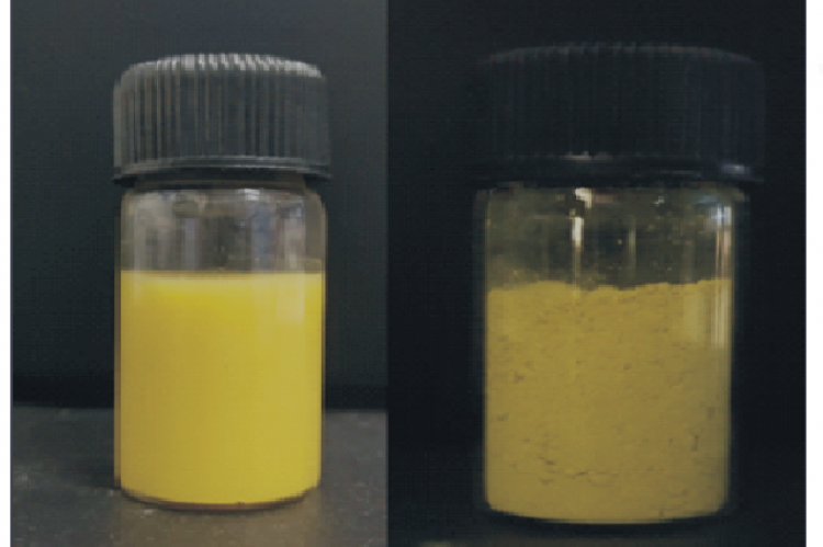   for  24  hours  in  the  dissolution  medium  of  pH  7.4  phosphate  buf fer  and  pH  5  acetate  buf fer  solutions  (900  ml).  At  predetermined  time  intervals,  samples  were  withdrawn  and  was  replaced  with  fresh  buf fer  solution.  The  absorbance  of  the  sample  was  measured  at  256  and  254  nm  respectively .  The  cumulative  release of the sample was calculated by using suitable equations  with  the  help  of  the  standard  curve.  Drug  release  kinetics  was  studied  by  the 