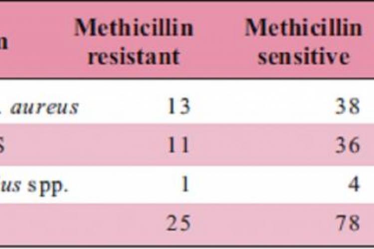 Number of isolates resistant and sensitive to methicillin