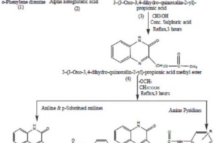 Synthesis of schiff bases of aromatic amines