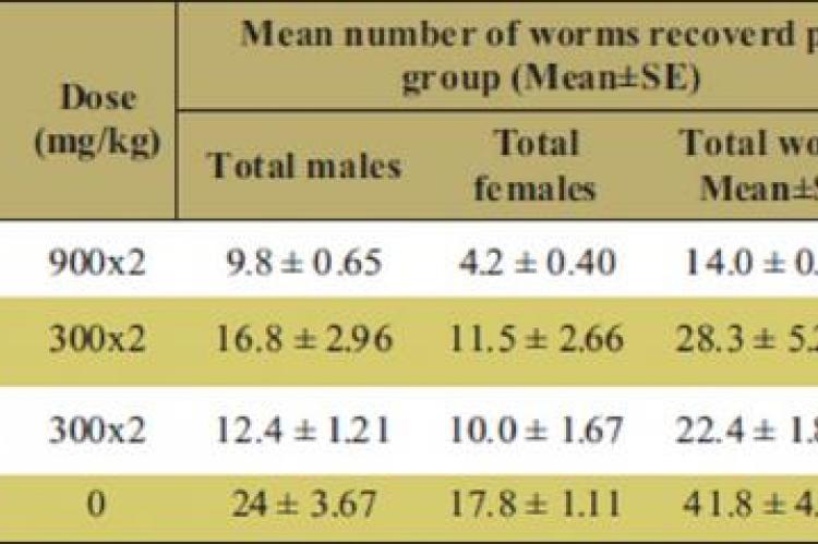 Effect of Solanum incanum on Worm recovery