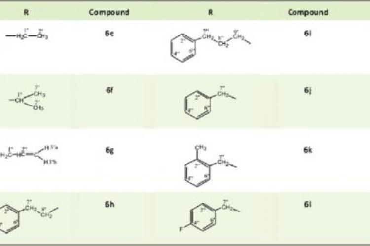 Outline for the synthesis of S-substituted derivatives