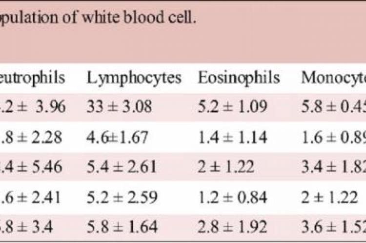 Differential white blood cells count in mice before treatment