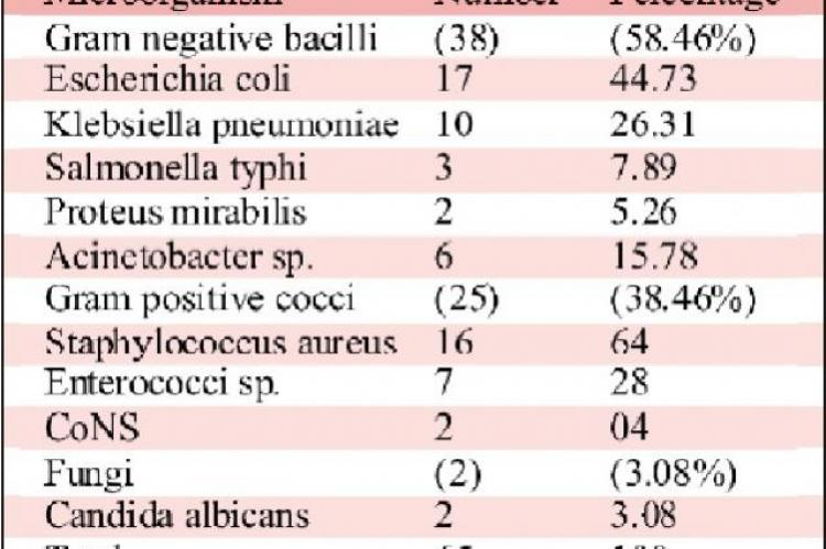  Frequency of bacterial isolates from blood cultures