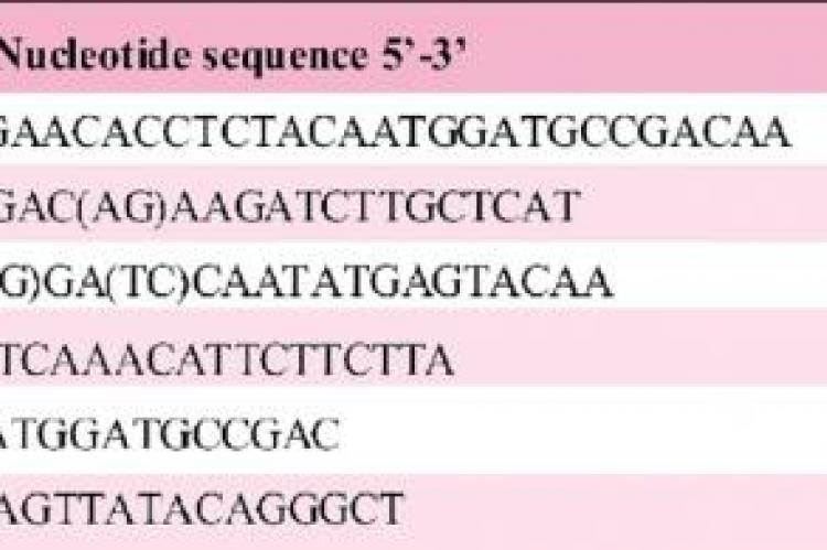 Details of primers used in the study