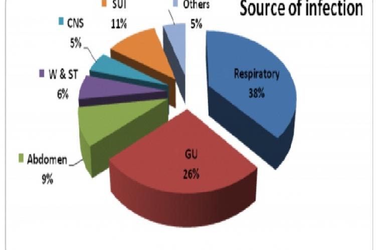 Figure showing the source of infection (SUI: source unidentified)