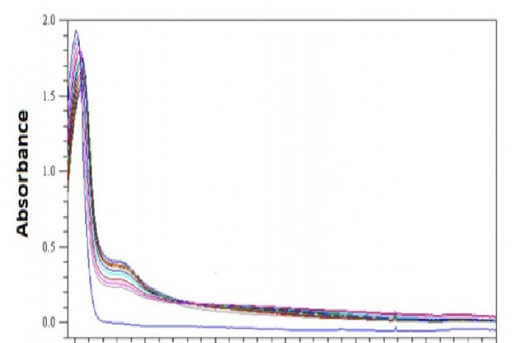 Succinyl rutin release carried out by UV detection