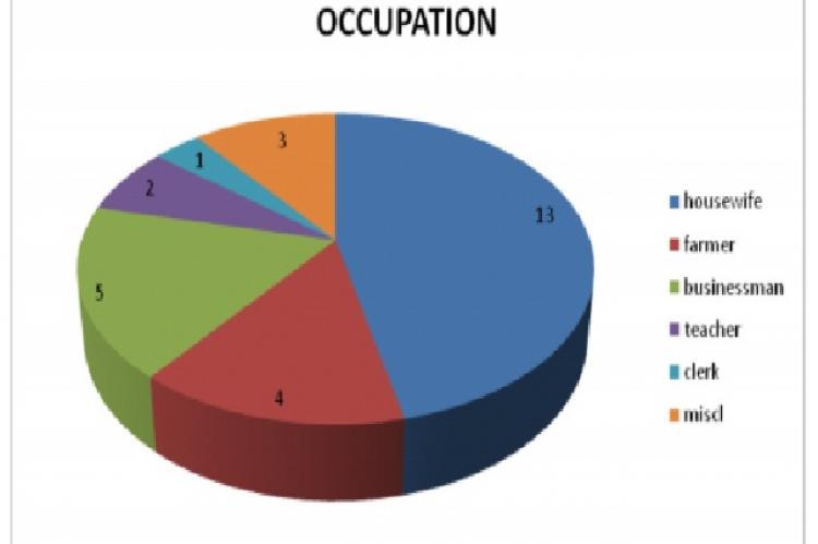 Occupation of subjects with allergic rhinitis (n=28)