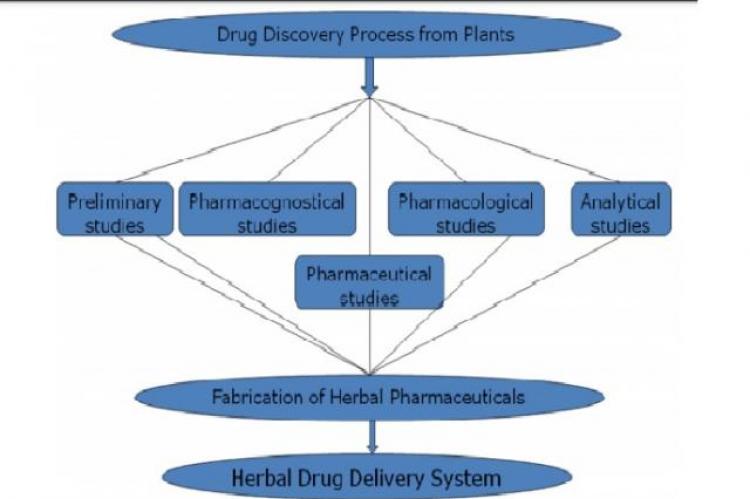  Design and Development of Herbal Drug Delivery System