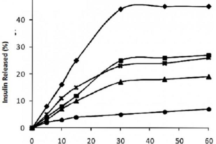 In vitro insulin release profile of the transdermal patch formulations