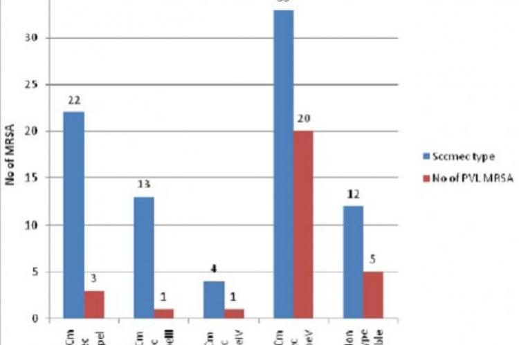 Distribution of various SCCmec types and PVL amongst the MRSA isolates