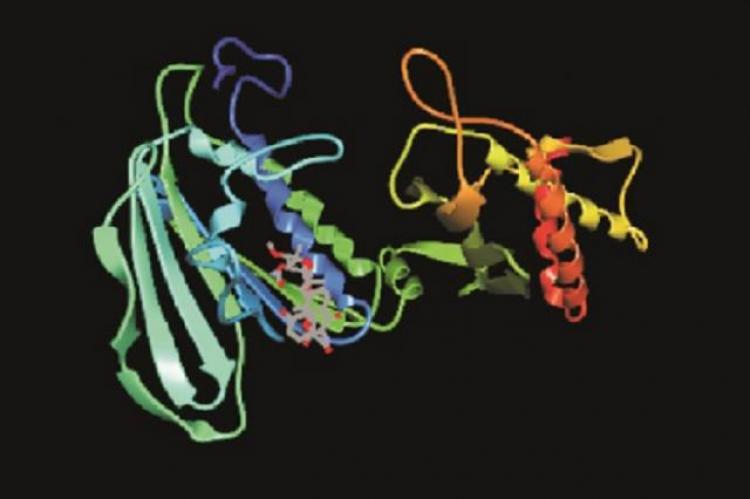 Source RCSB - Protein data bank PDB code - 3LPS