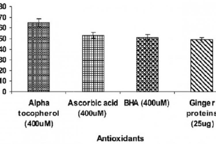  DPPH radical scavenging activity of Ginger proteins