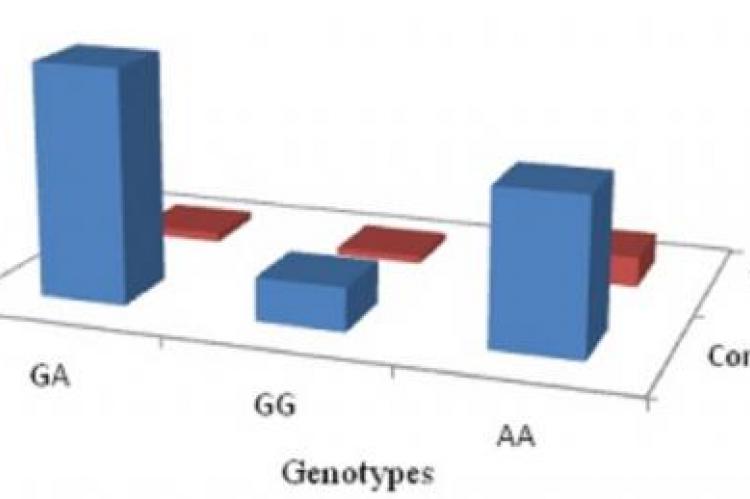 Avg. TNF-alpha conc. (ng/ml) with different genotypes in test and control subjects