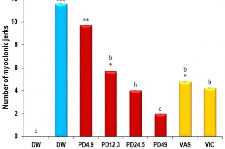 Effects of P. daemia on the number of myoclonic jerks in PTZ kindled mice