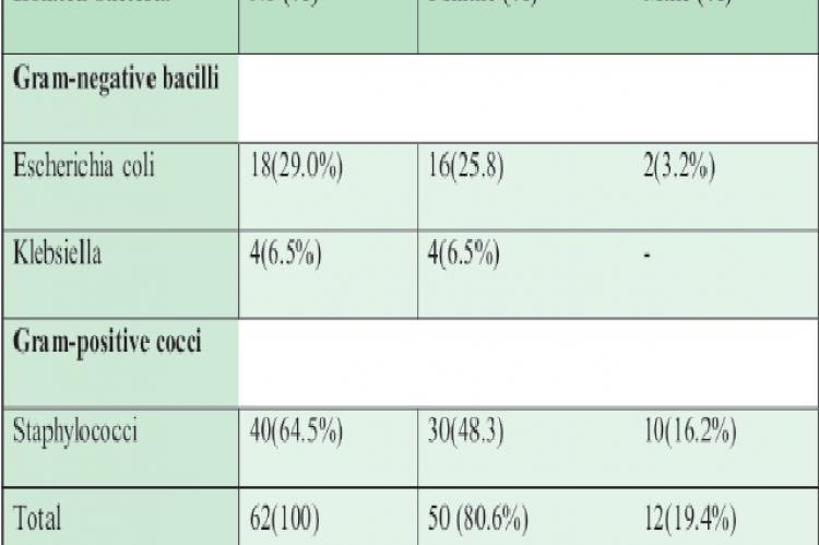  Frequency of bacterial agents isolated from urine specimens and their relation to sex in this study