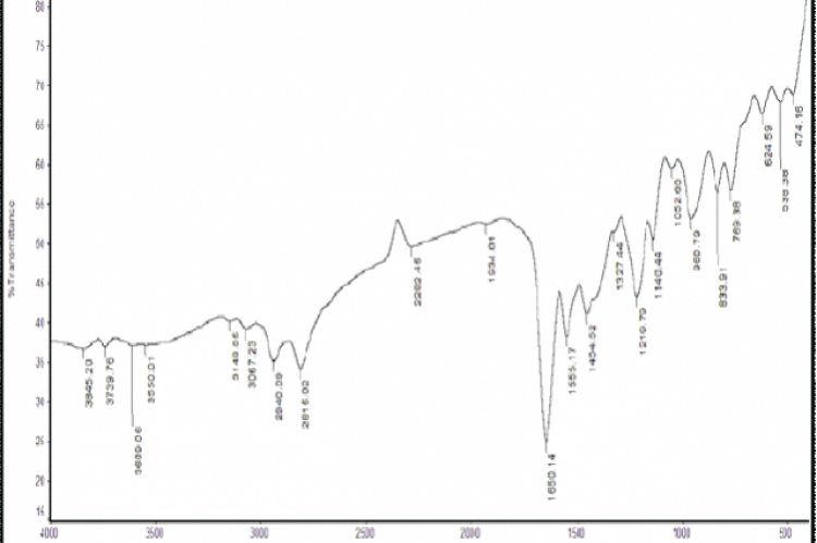 IR spectrum of brexpiprazole on KBr disc