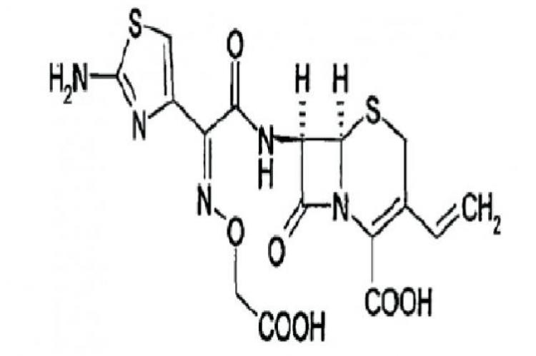 Structure of Cefixime