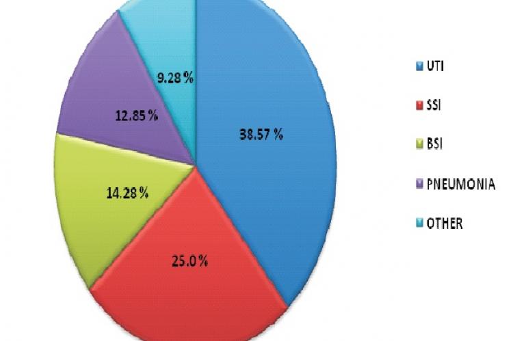 Prevalence of NIs based on infection site