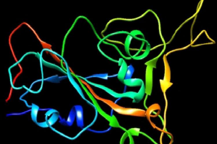 3D modelled SAR-CoV-2 spike protein
