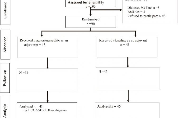 CONSORT Diagram