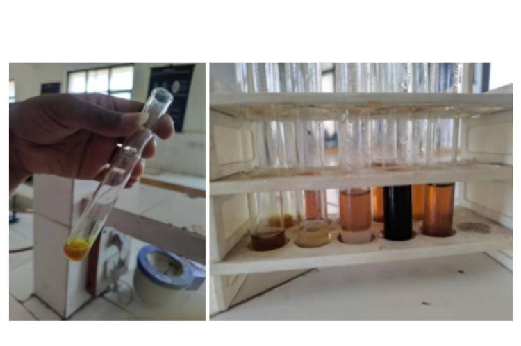 Preliminary phytochemical screening