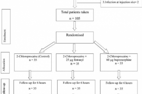 Fig 1: CONSORT FLOW DIAGRAM