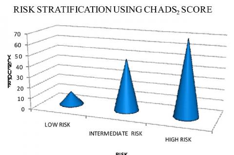 Risk Stratification, An Indispensible Cogitation to Avert Stroke in Patients with Atrial Fibrillation: Evidence from a Prospective Observational Study from India