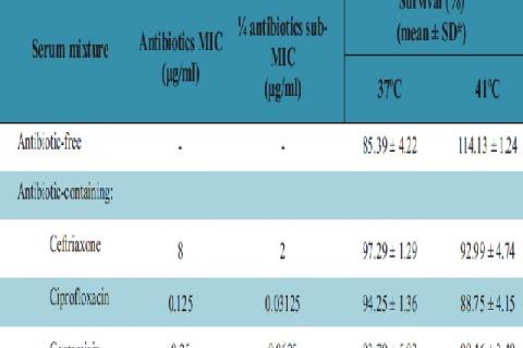 Survival of Escherichia coli ATCC 25922 in 50% human sera