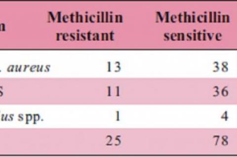 Number of isolates resistant and sensitive to methicillin