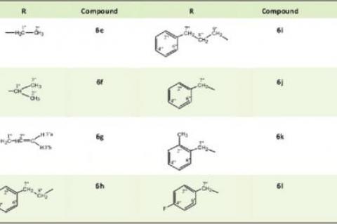 Outline for the synthesis of S-substituted derivatives