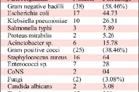  Frequency of bacterial isolates from blood cultures