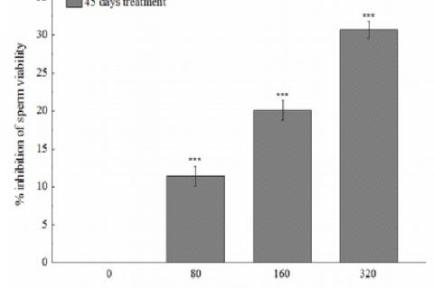 : MTT reduction assay of spermatocytes demonstrates dose-dependent increase in the percentage inhibition of sperm viability in the mice treated with BDE for 45 days.