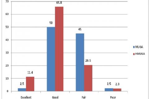 Showing the results with Manipulation alone and with Hydrosilatation