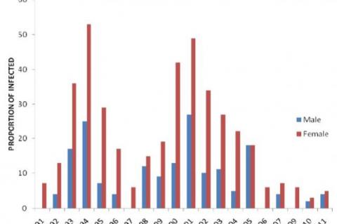 Distribution of Cystic Echinococcosis by gender