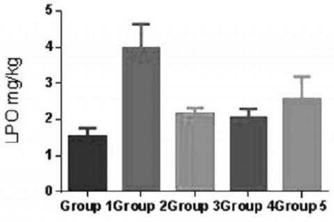 Effect of TSEE (250 and 500 mg/kg) on lipid peroxidation (LPO)