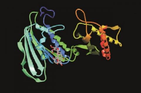 Source RCSB - Protein data bank PDB code - 3LPS