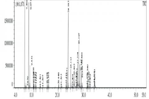 IGas chromatogram of P.korintii leaf oil