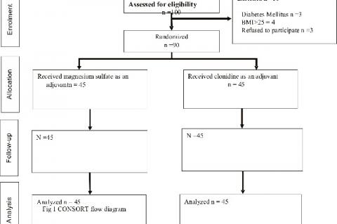 CONSORT Diagram