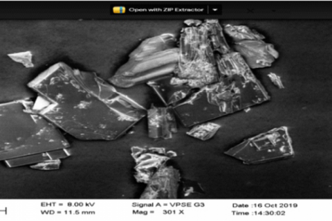 Fig. 11 SEM images of the cocrystal